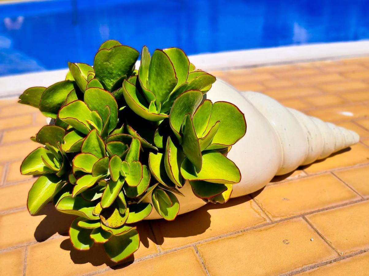 Flh Vilamoura Summer Flat With Pool Zewnętrze zdjęcie